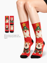 聖誕柯基中筒襪子 3D星星節日可愛狗狗襪子