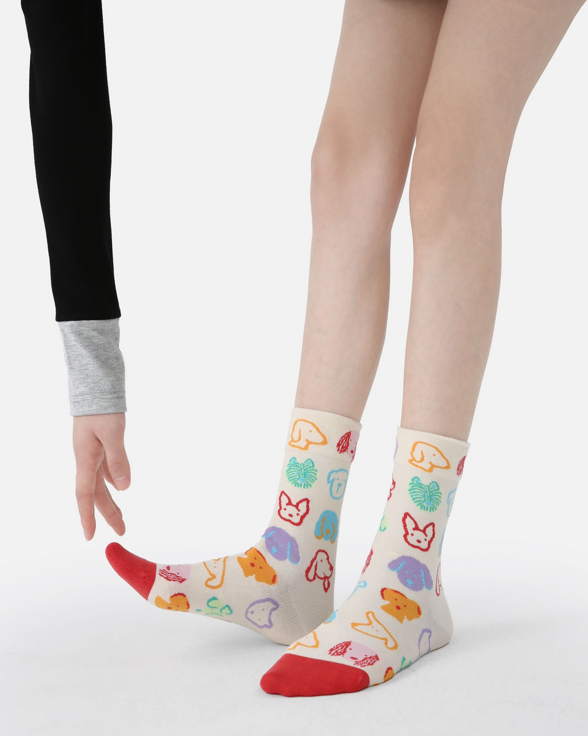 5 Pack Colorful Cat and Dog Cotton Crew Socks