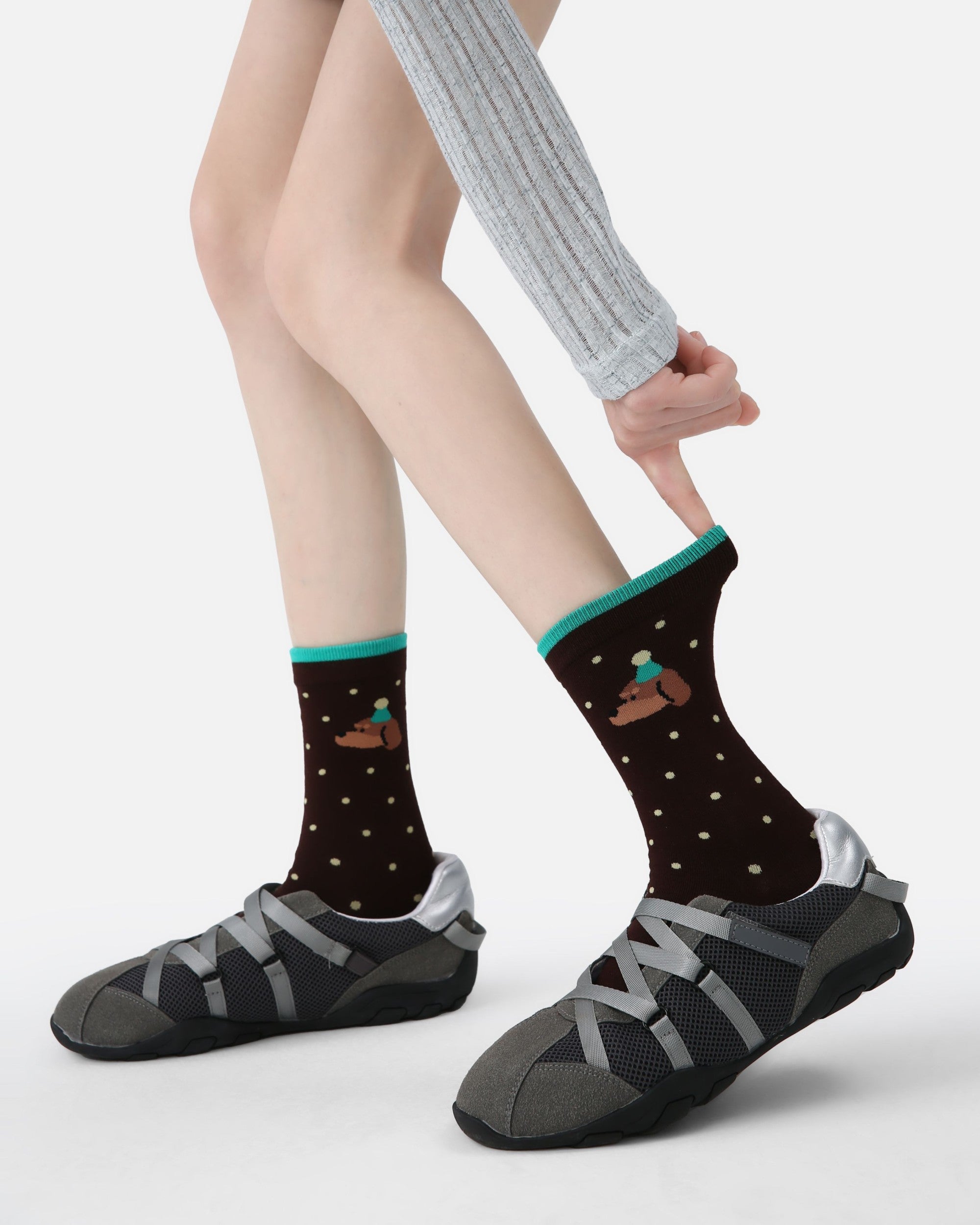 5 Pack Dachshund Cotton Crew Socks