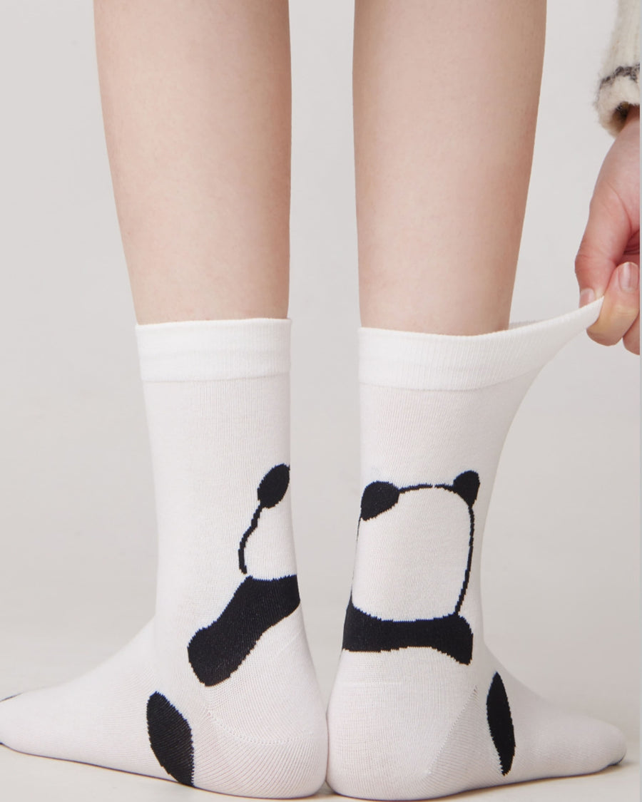 Gift Box Set Panda Cotton Crew Socks