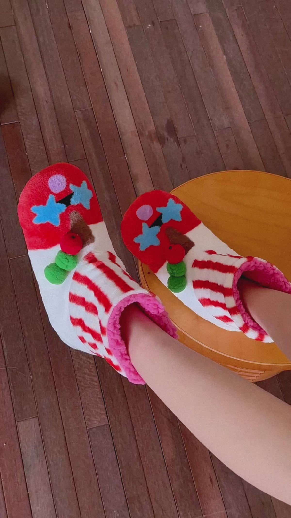 Whimsical Friends Cozy Slipper Bootie Socks